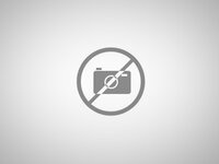 Desinfección y Control de Plagas