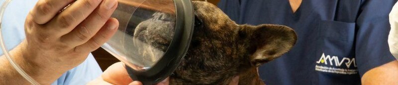 Hospital Dr. Serna Veterinario